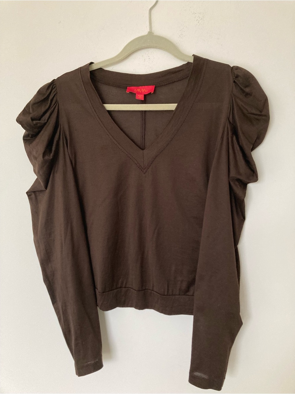 Lavia brown V-Neck Puff Sleeve Long Sleeve Top